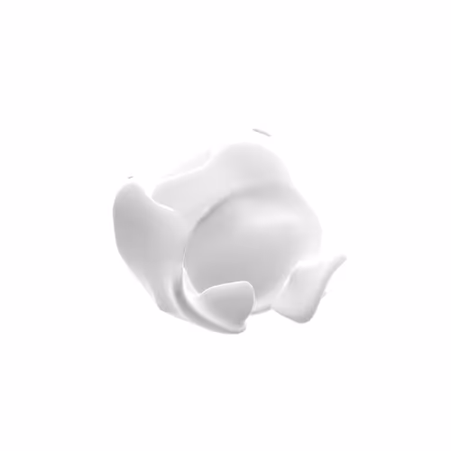 Samsa 5