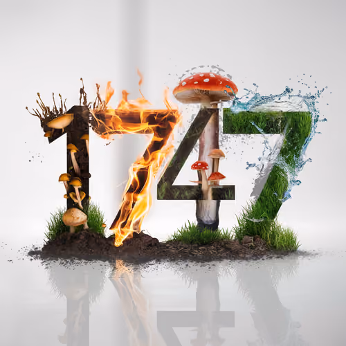 Item #1744 Media