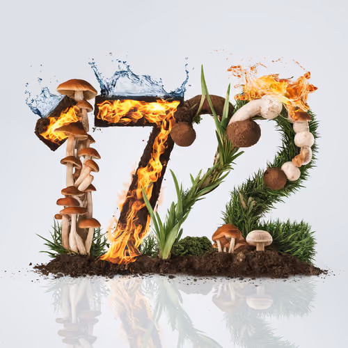 Item #1747 Media