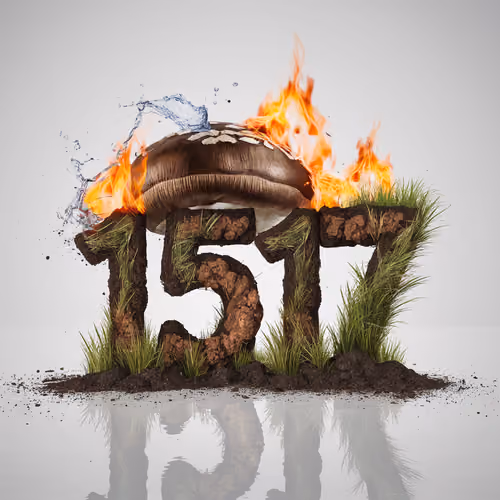 Item #1521 Media