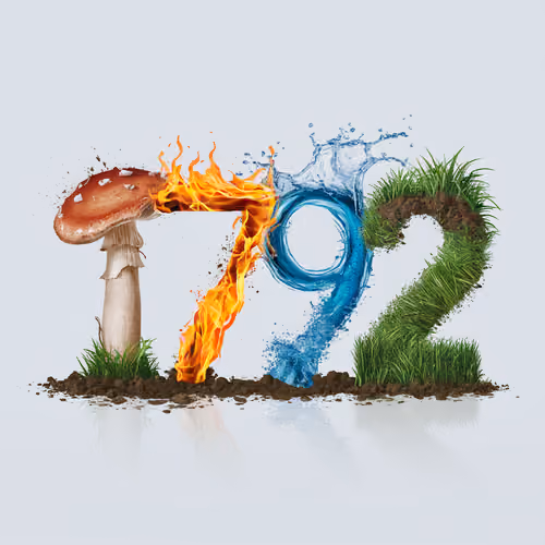 Item #1770 Media