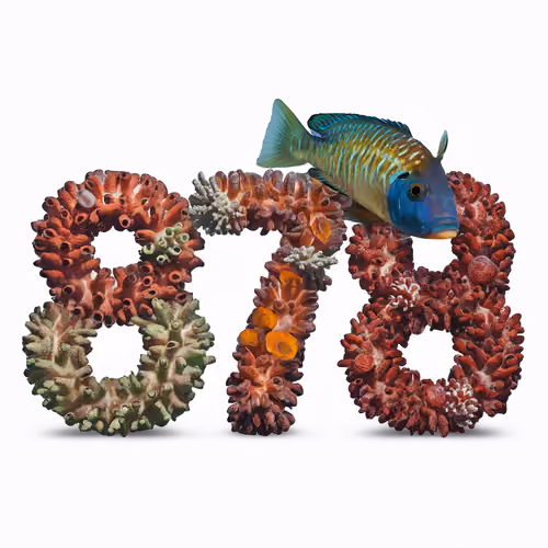 Item #459 Media