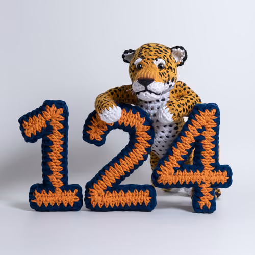 Item #733 Media