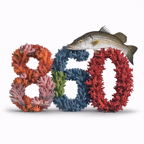 Item #680 Media