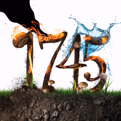 Item #1703 Media