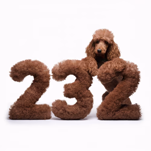 Item #730 Media