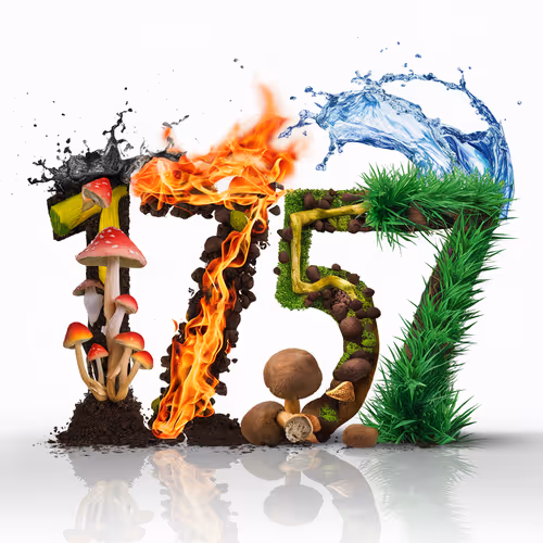 Item #1783 Media