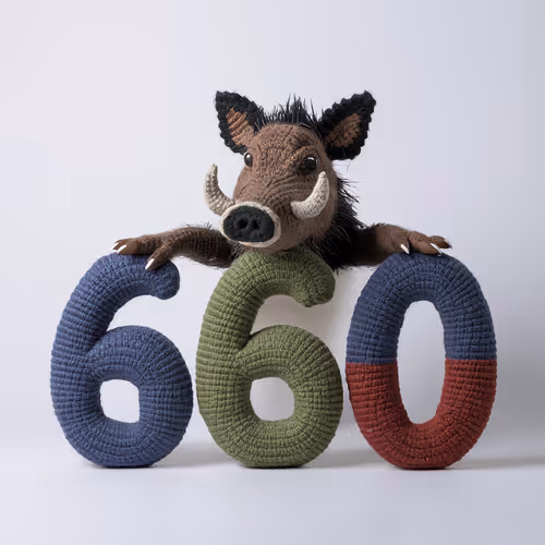Item #663 Media