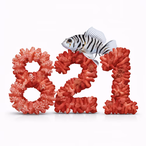 Item #666 Media