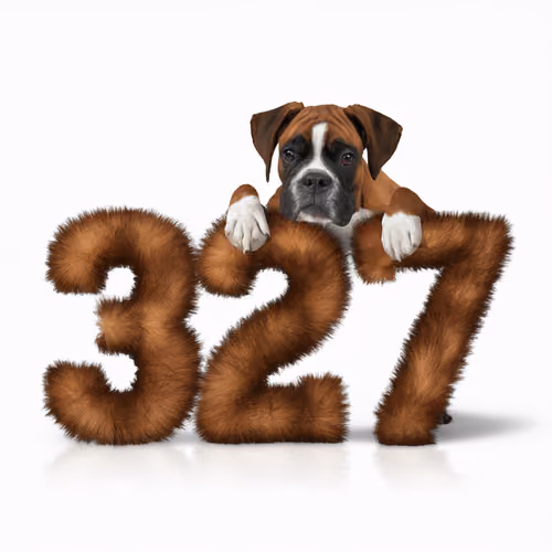 Item #725 Media