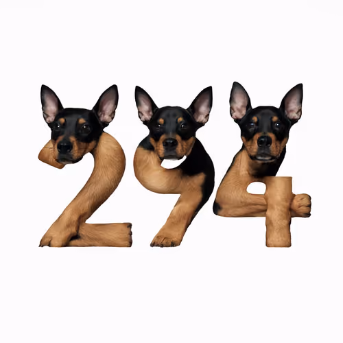 Item #276 Media