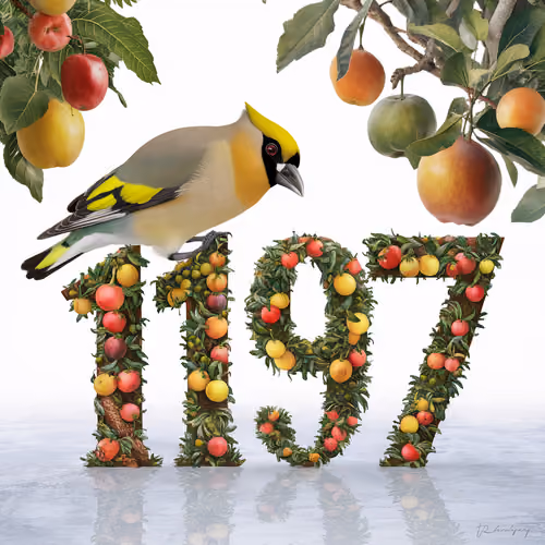 Item #1066 Media