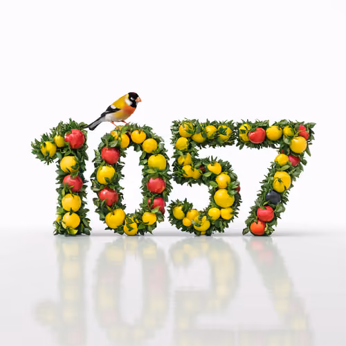 Item #1237 Media