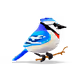 AI Birds