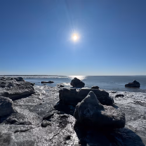 Ice by the ocean