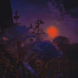 94