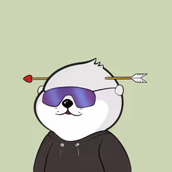 5251