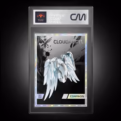 RavenX CloudAngel CM #00173
