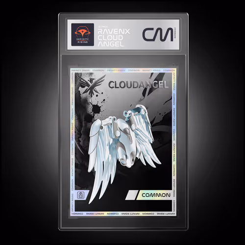 RavenX CloudAngel CM #00054