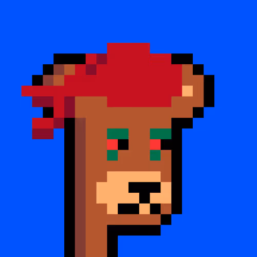 Bearpunks On Base