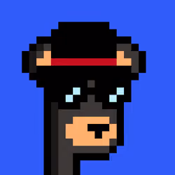 BearPunks #1947