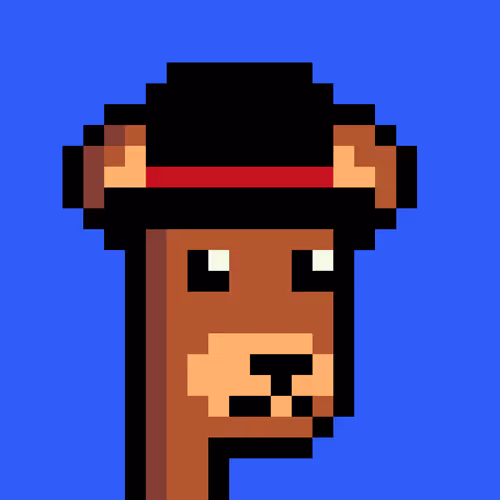Bearpunks On Base