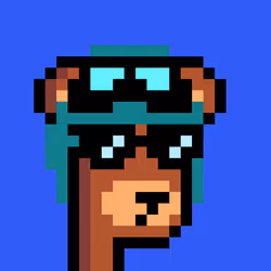BearPunks #3873