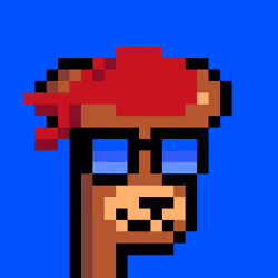 BearPunks #977