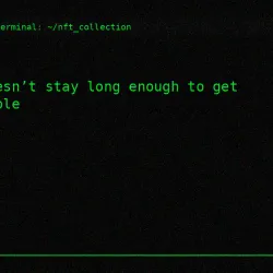 244