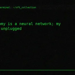 651