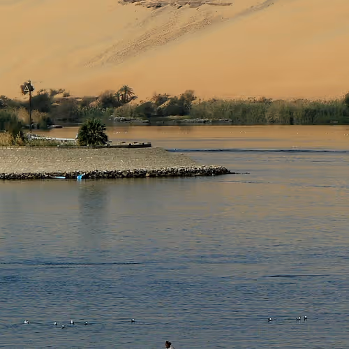 Rowing On The Nile