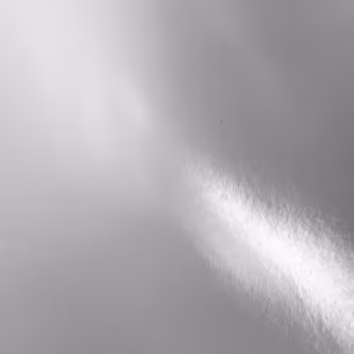 Rodeo Posts Tocame