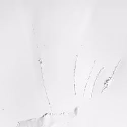 239