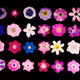 Rodeo posts