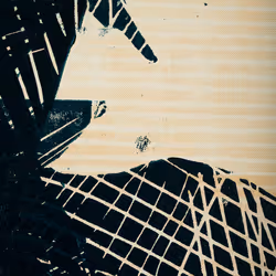 33