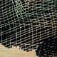 Code Unique: Fractals