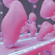 Lucid Alloy