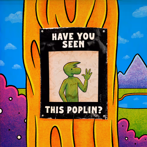 Have You Seen This Poplin