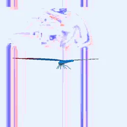 1050