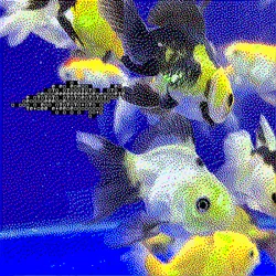 1096