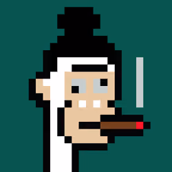 PunkL Ape #263