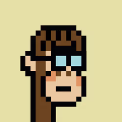 PunkL Ape #508