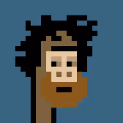 PunkL Ape #446