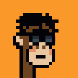 PunkL Ape #306