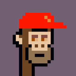 PunkL Ape #173