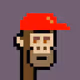 PunkL Ape #173
