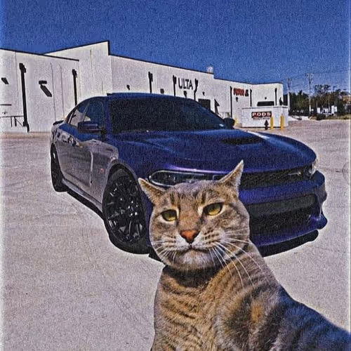 Pus W Car
