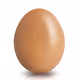 Based Eggs