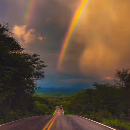 The Road To Wonderland 1
