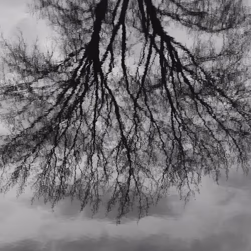 Mehdi Benembarek B&W